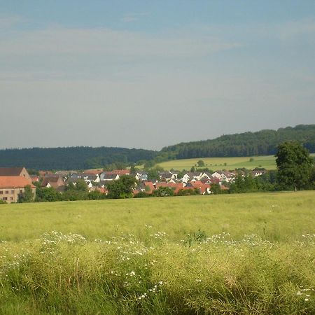 Penzion Winzerhof Spengler Kulsheim Exteriér fotografie